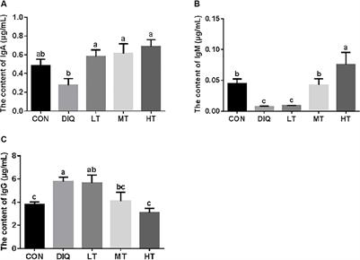 Taurine Alleviates Intestinal Injury by Mediating Tight Junction Barriers in Diquat-Challenged Piglet Models